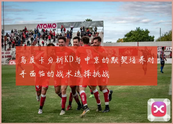 乌度卡分析KD与申京的默契培养对手面临的战术选择挑战